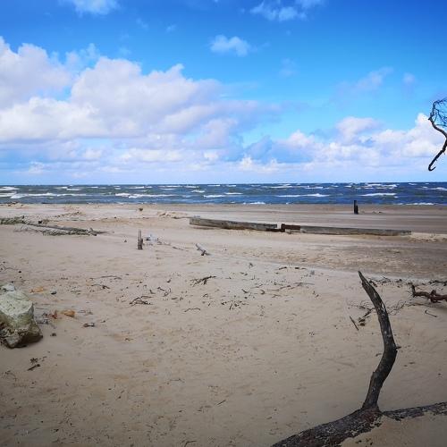 Photo #4954501