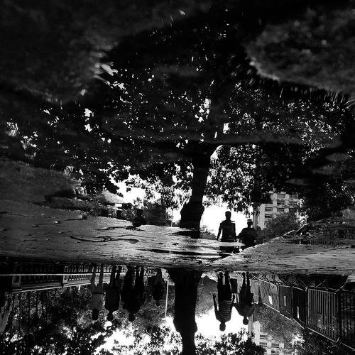 Monsoon reflection tales