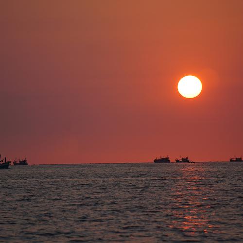Photo #4954805