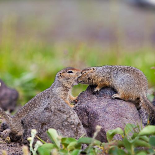 Photo #4954914