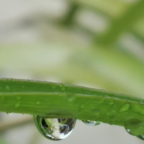 Photo #4955139
