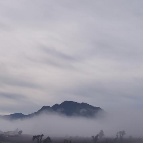 Photo #4955141