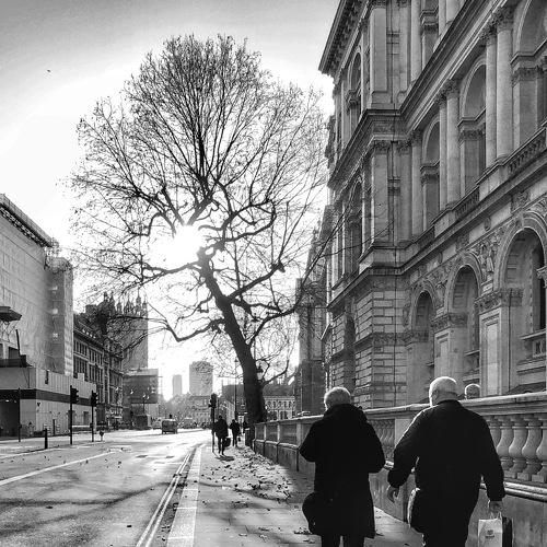 Photo #4955152