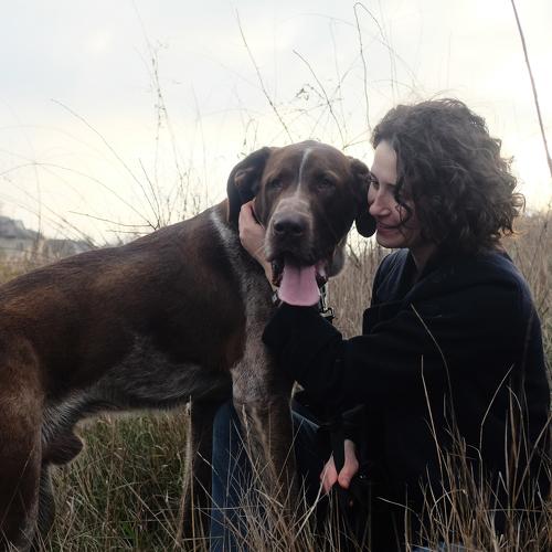 Photo #4955234