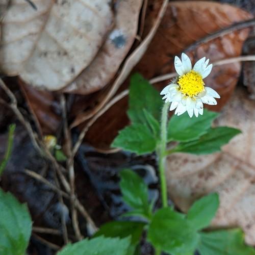 Photo #4955377