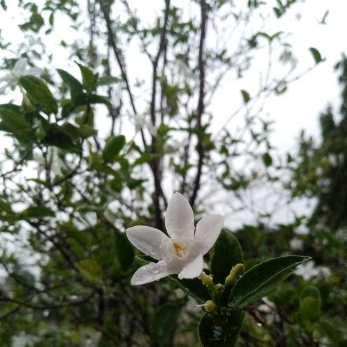 Photo #4956027