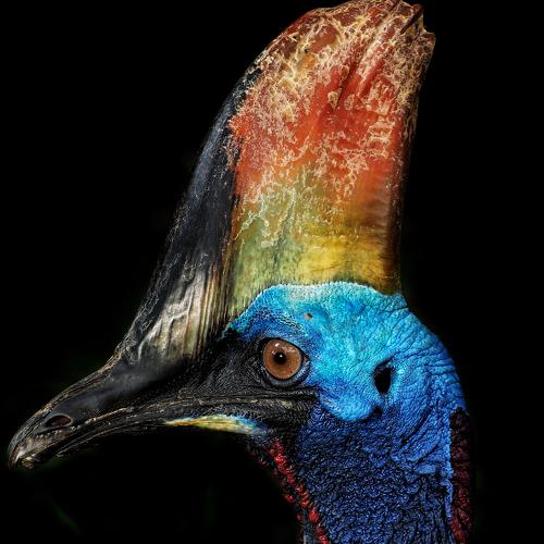 Photo #4956199