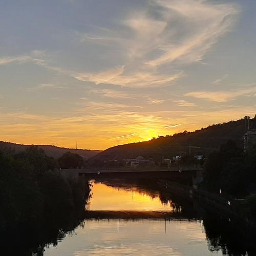 Photo #4956408