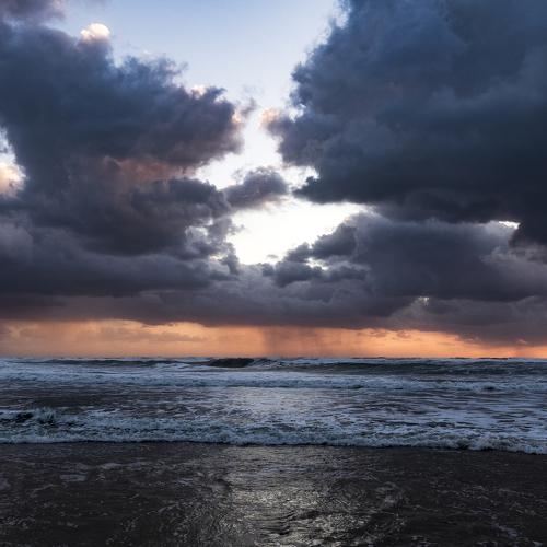 Photo #4956514