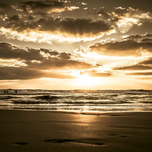 Photo #4956516