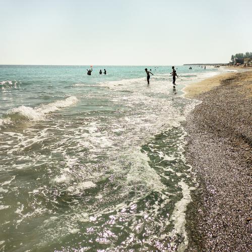 Photo #4956745