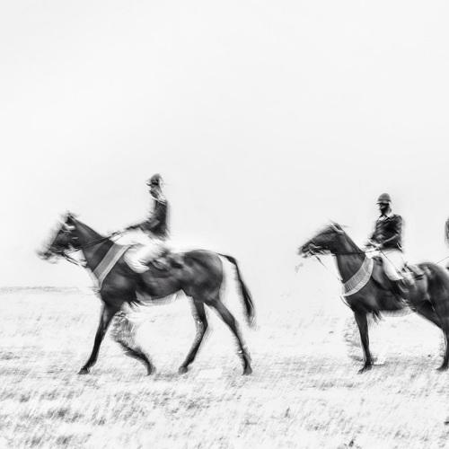 Photo #4956883