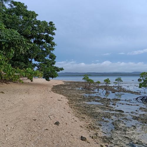Tandang Island