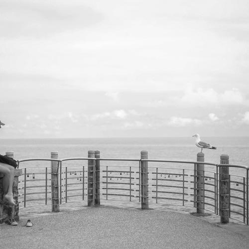 Photo #4957922