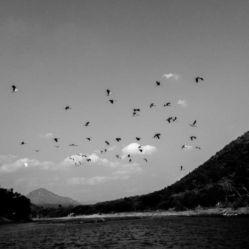 Photo #4958267