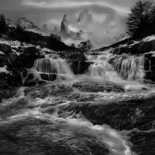 Photo #4958477