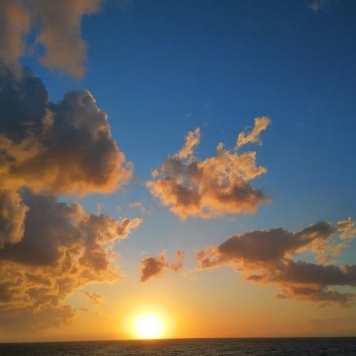 Photo #4958521