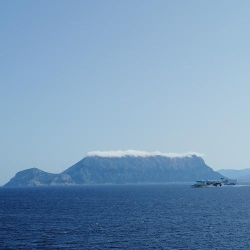 Photo #4958559