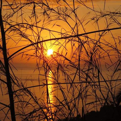 Photo #4958815