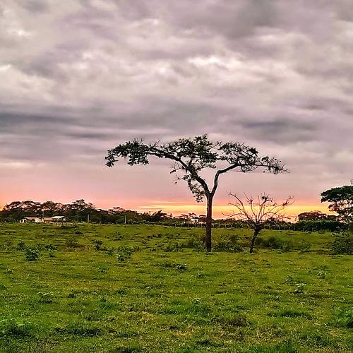 atardecer cumaraleño