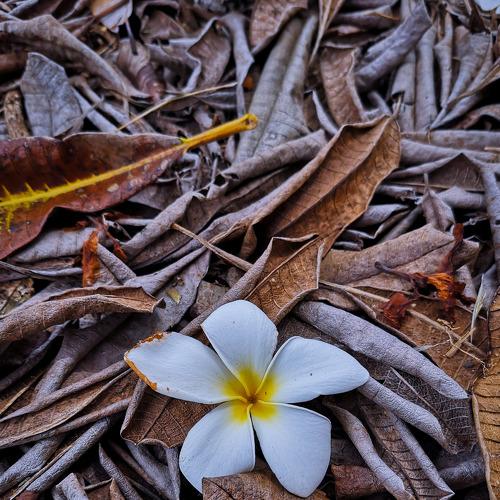 Be different