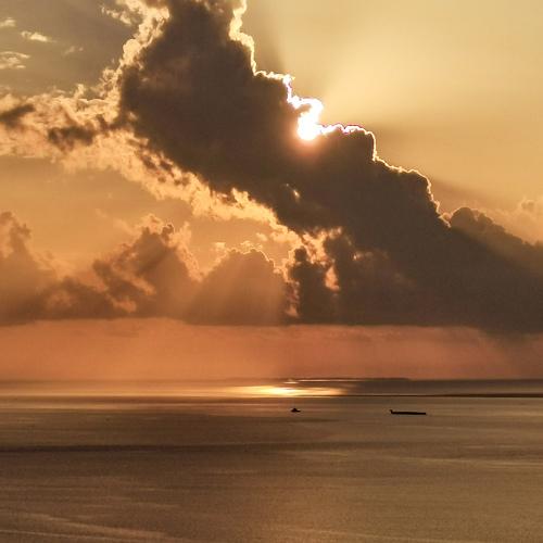 Photo #4958913