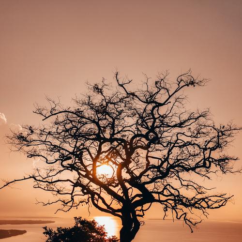 Photo #4958917