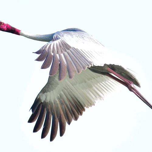 Photo #4958947