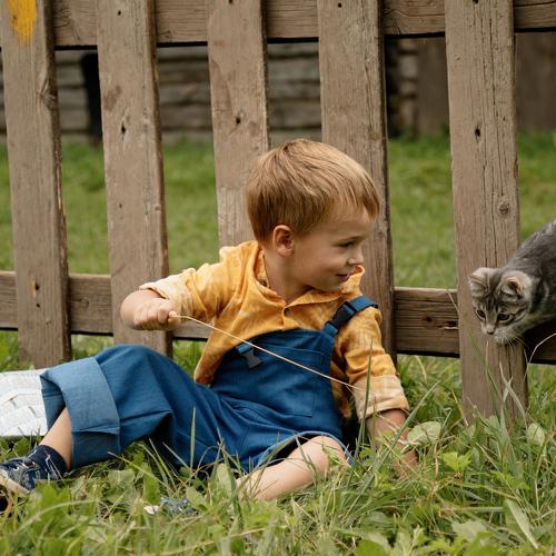 Photo #4958998