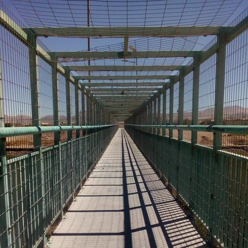 Photo #4959013