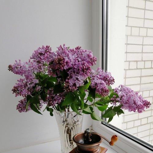 Photo #4959017