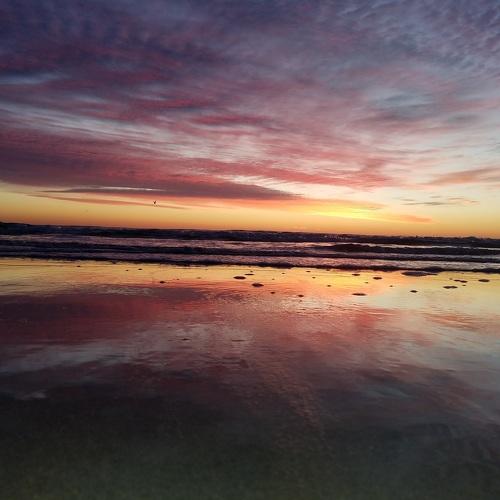Photo #4959162