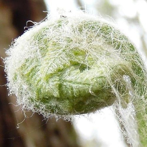 Photo #4959164