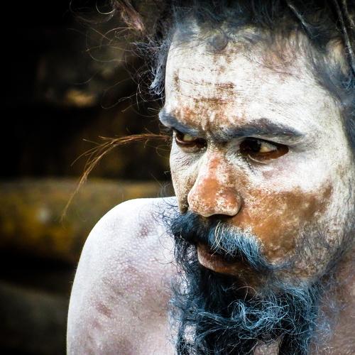 Photo #4959611