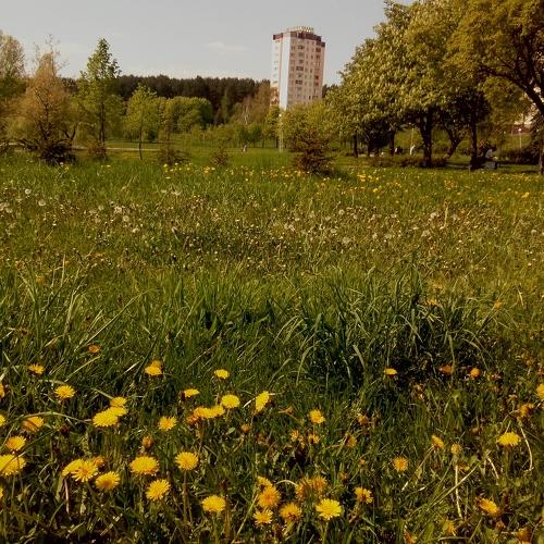 Photo #4959661