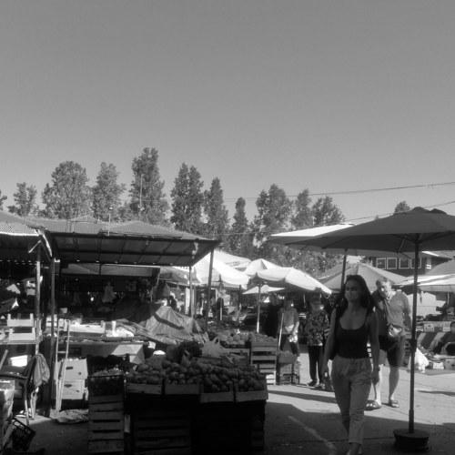 Photo #4959768