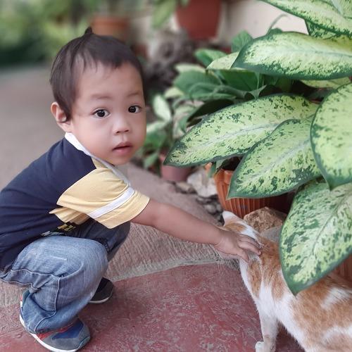 Photo #4959864