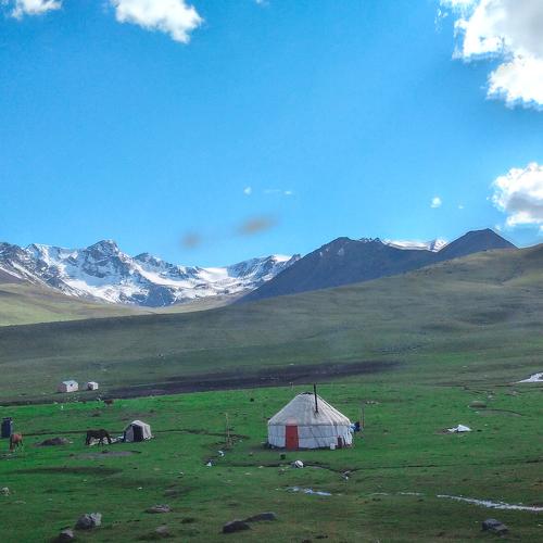 Photo #4960564