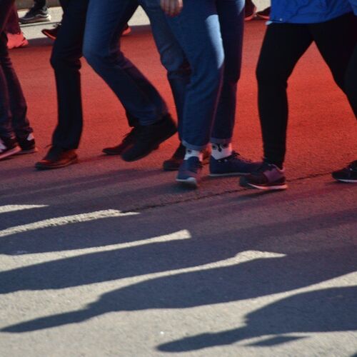 Photo #4960795