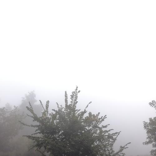 Photo #4961015