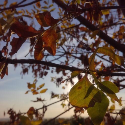 Photo #4961029