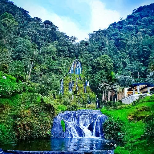 Photo #4961201