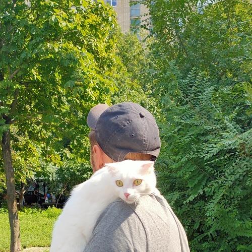 Photo #4961241