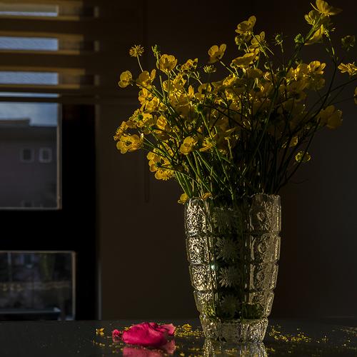 Photo #4961378