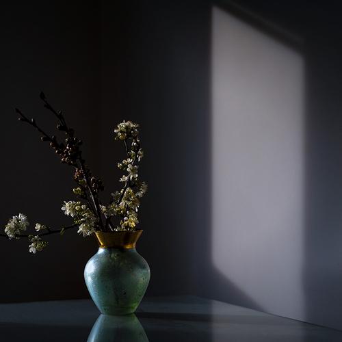 Photo #4961382