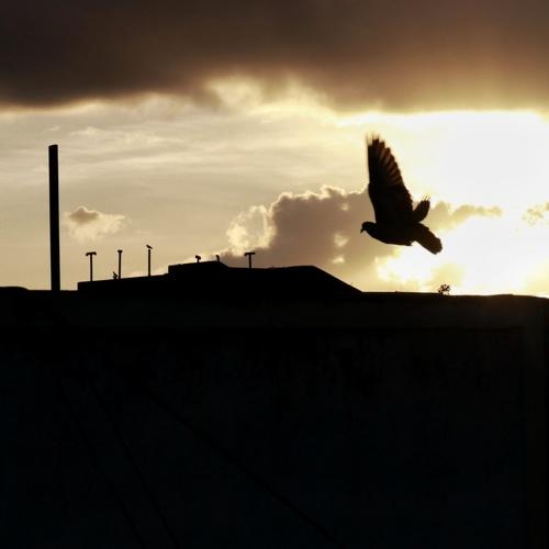 The Free Spirit