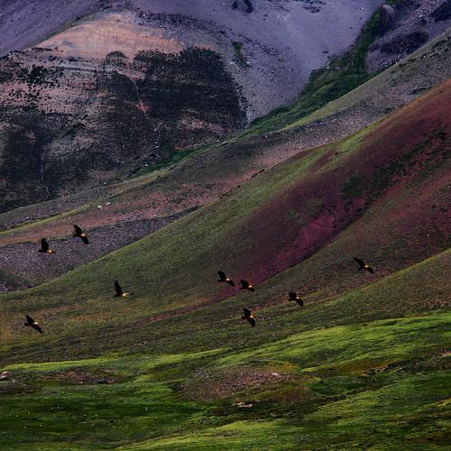Photo #4961592