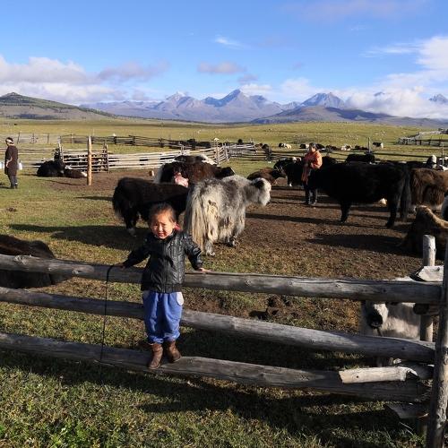 Nomadic children