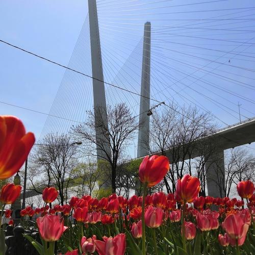 Photo #4961919