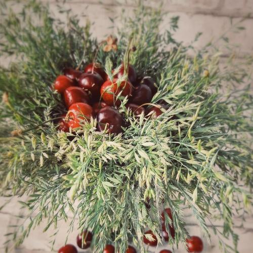 Photo #4962149